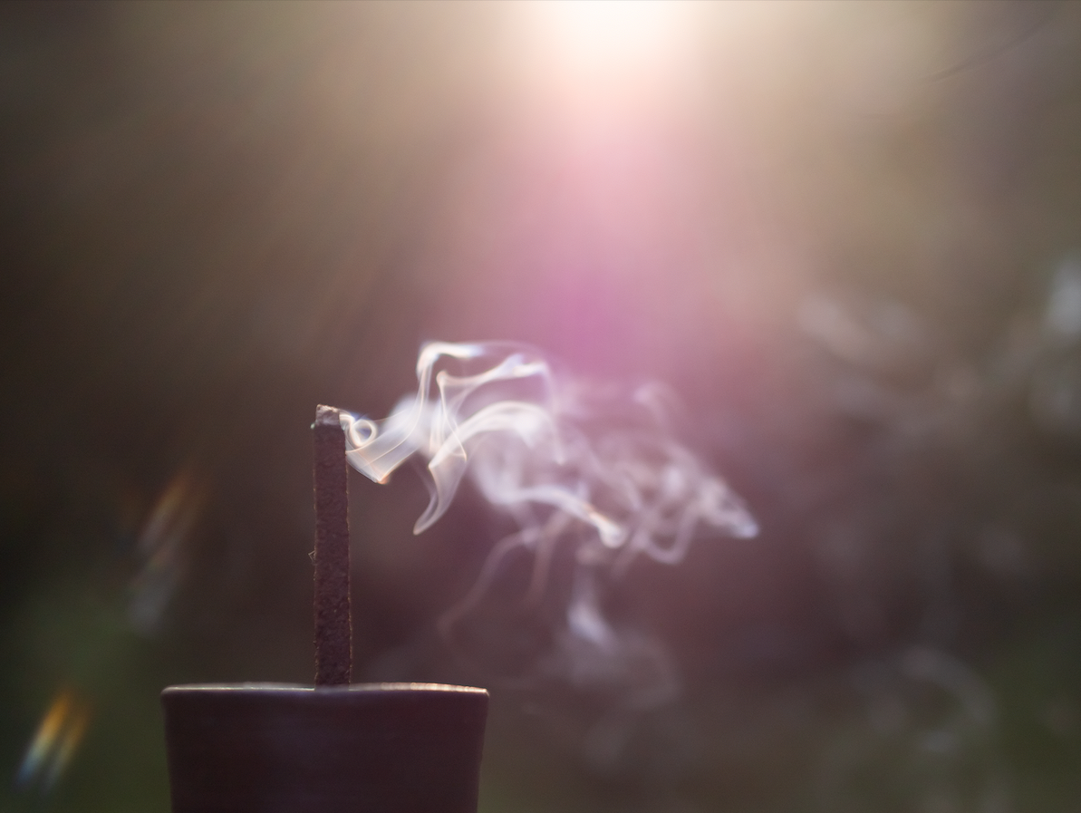 ¿Sabías que los aromas del bosque pueden transformar tu hogar en un refugio de paz?