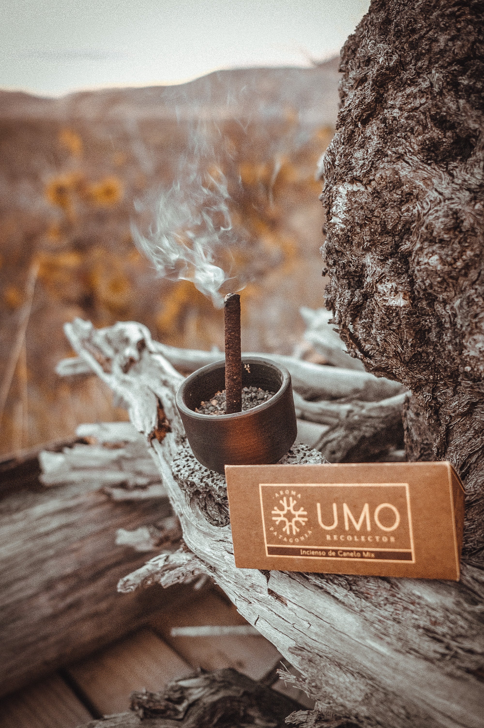 Inciensos y emociones: el poder de los aromas