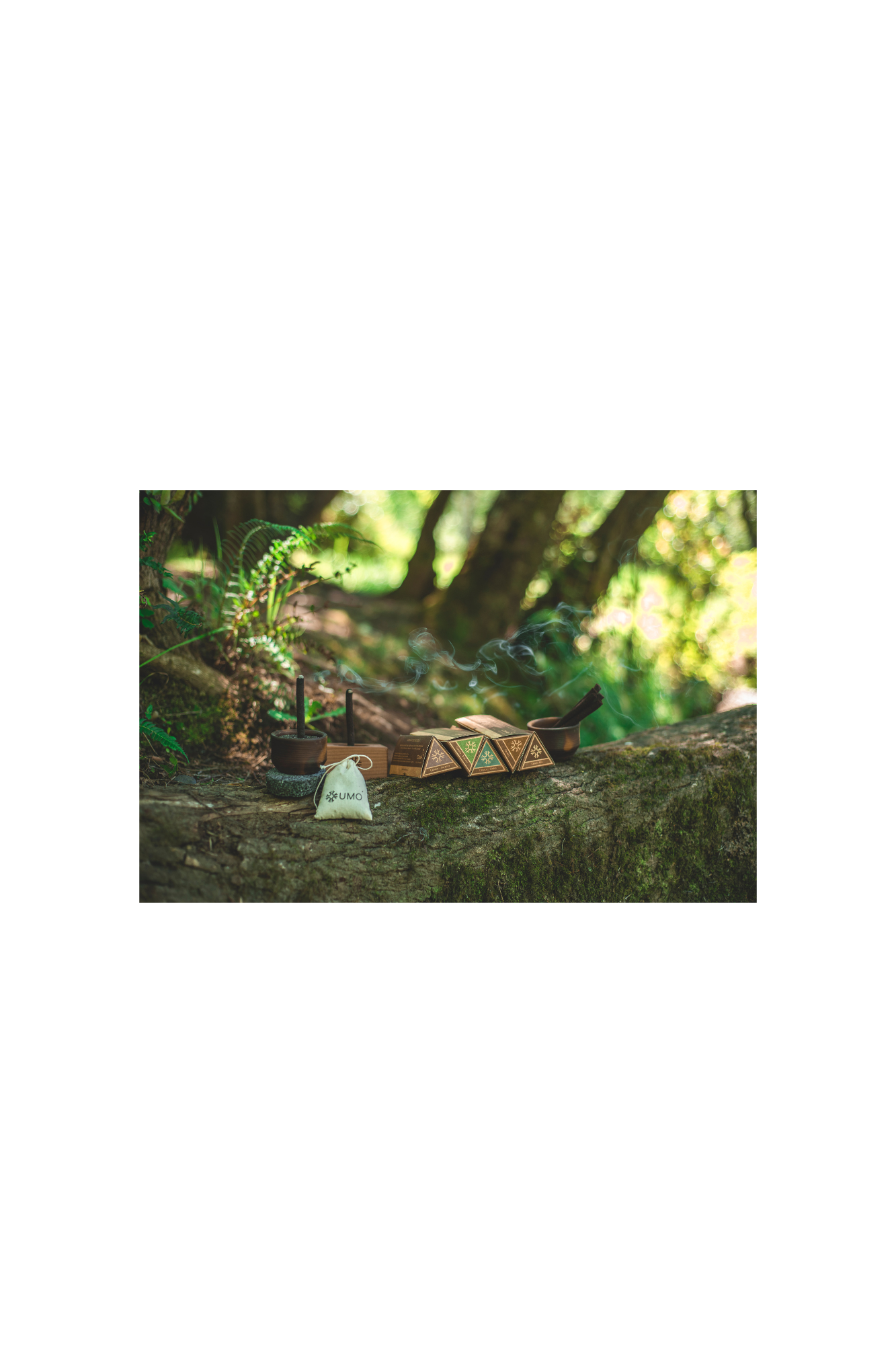 Explorando los Aromas del Bosque