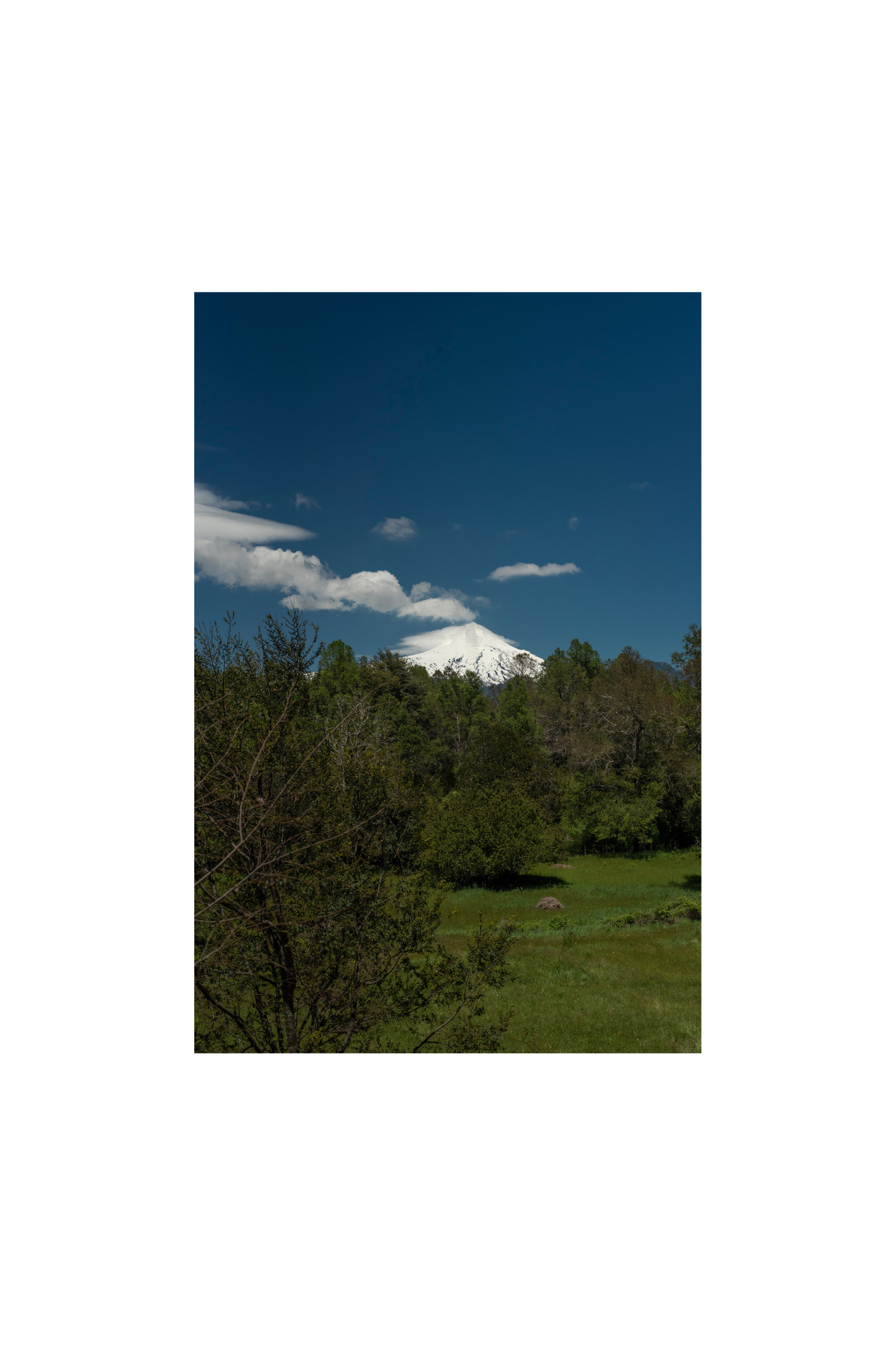 Explorando los aromas de la Patagonia