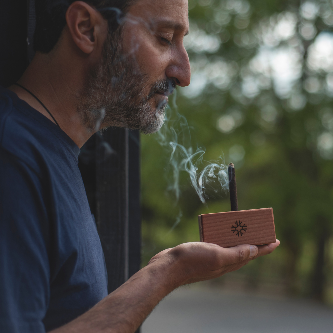 Cómo los Aromas del Bosque Pueden Mejorar tu Bienestar?