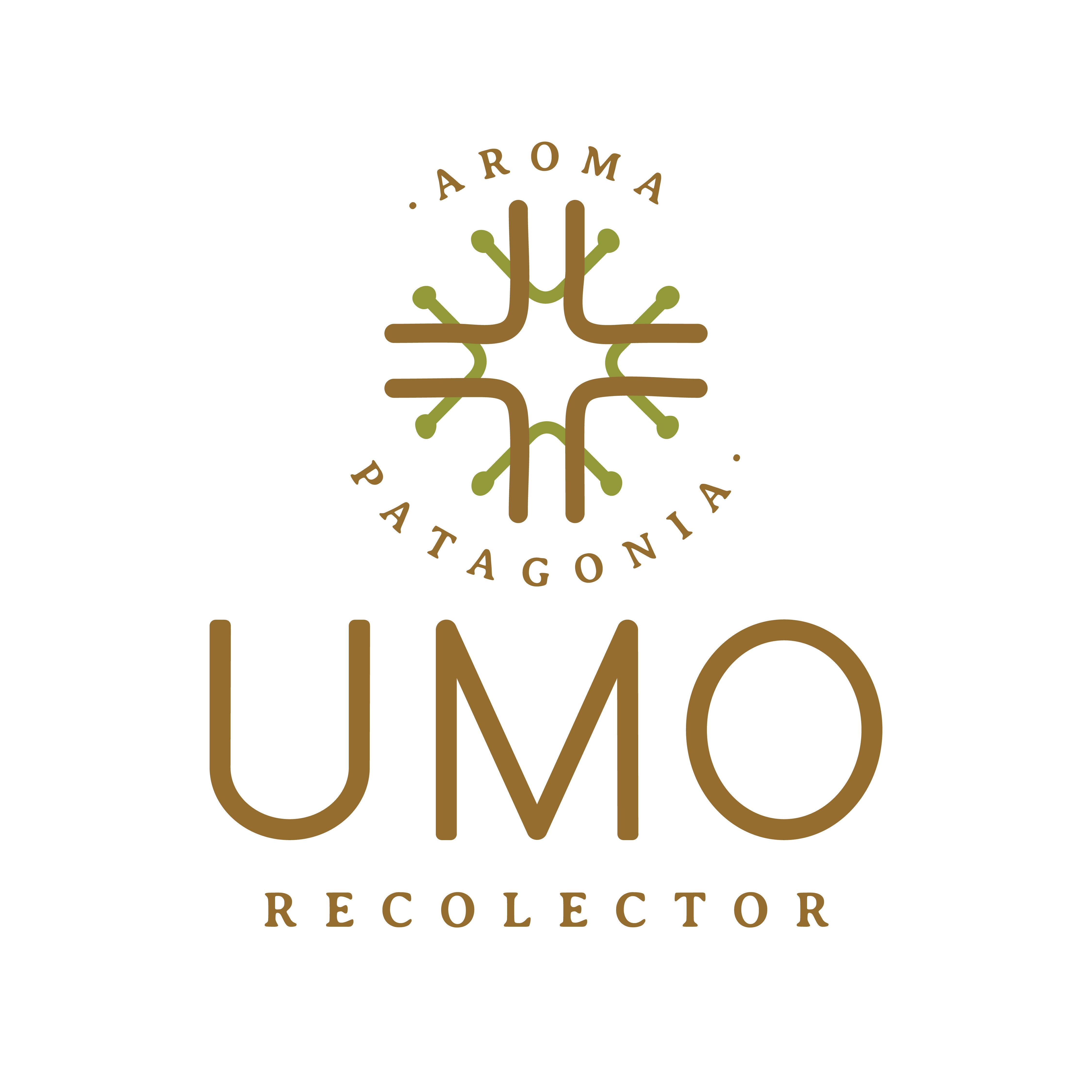 Aromas del Bosque: Efectos de Aromaterapia con Inciensos Naturales