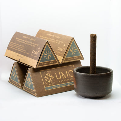 Kit Greda + 4 Cajas de Incienso Canelo Cedro – Conexión con la Tierra y Aromaterapia Natural